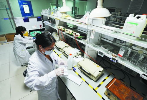 讓創新中藥綻放更多光彩 以嶺藥業以理論創新驅動中醫藥產業化、現代化、國際化