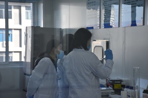 聚焦技術(shù)前沿 保障舌尖安全——河南省畜產(chǎn)品質(zhì)量安全技術(shù)研究院創(chuàng)新發(fā)展研討會(huì)在河南牧業(yè)經(jīng)濟(jì)學(xué)院召開